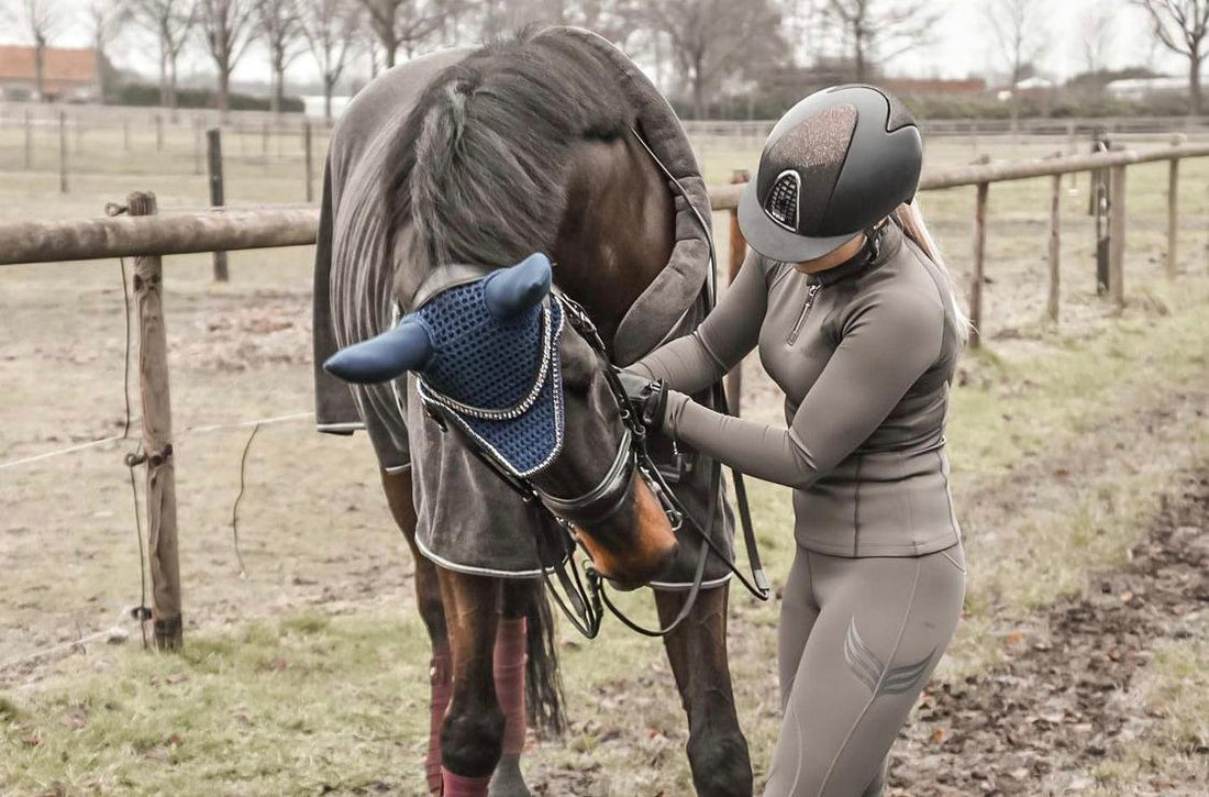 Equestrian Clothing  Accessories Online  Ayr Equestrian